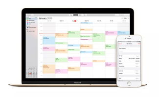 iCloud網頁版反垃圾功能上線 信息處理新里程，治標更需治本