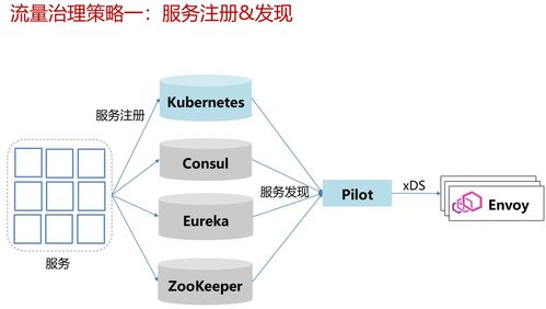 Istio流量治理與監(jiān)控管理 構(gòu)建信息處理與存儲支持服務(wù)的關(guān)鍵支柱
