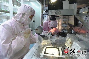 鹿泉經(jīng)濟開發(fā)區(qū) 以精準服務為引擎，大力扶持高新技術企業(yè)騰飛